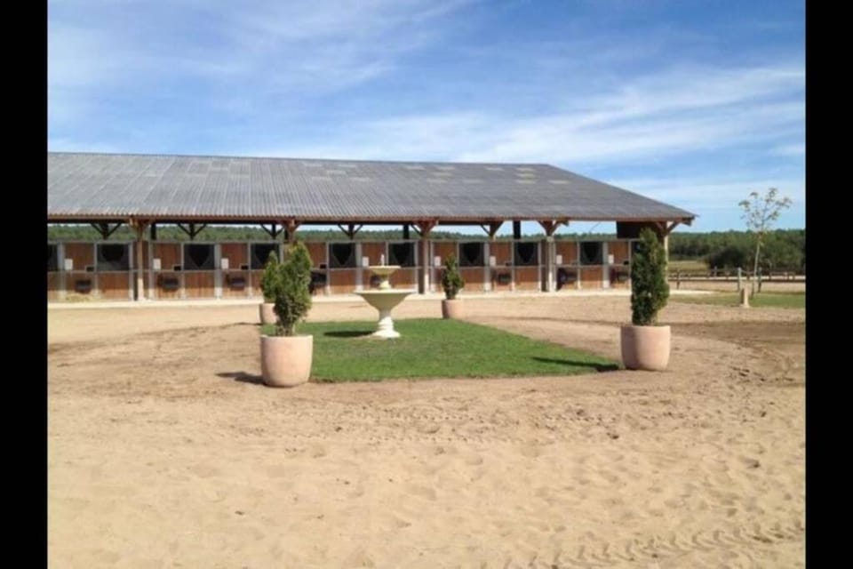 Gîte au coeur d'une propriété équestre Apartment in Pays de la Loire