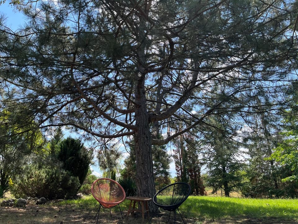 Vila Timok Villa in Serbia