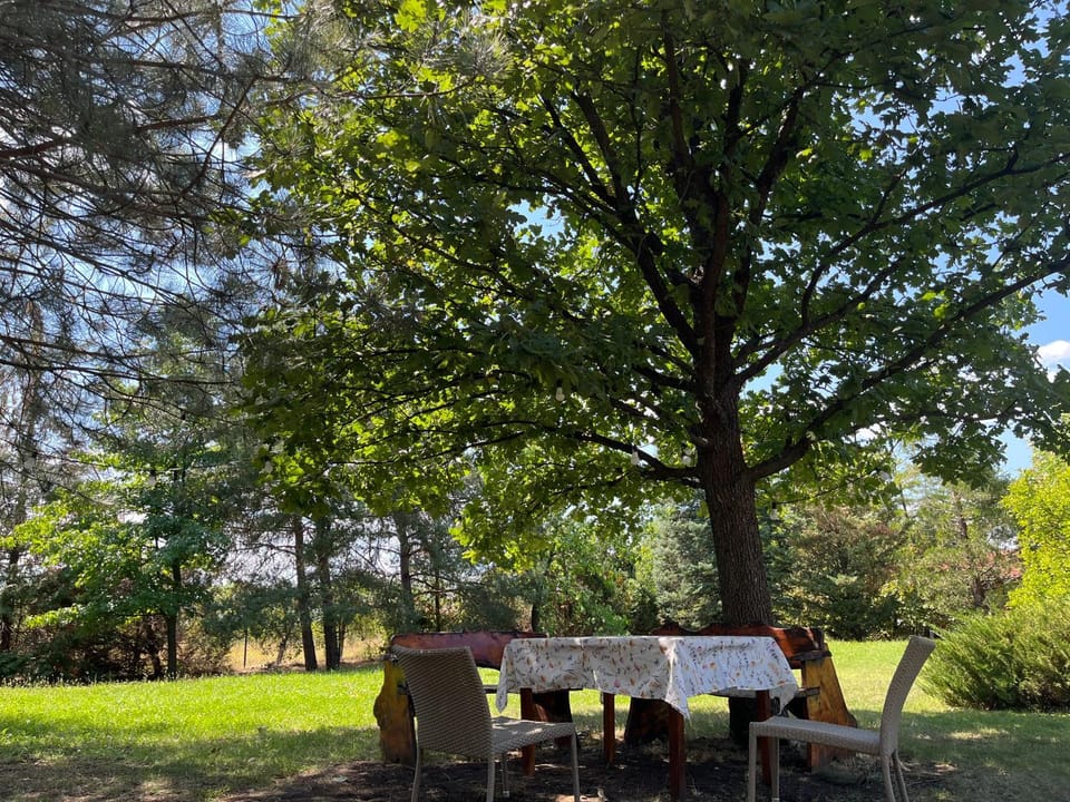 Vila Timok Villa in Serbia