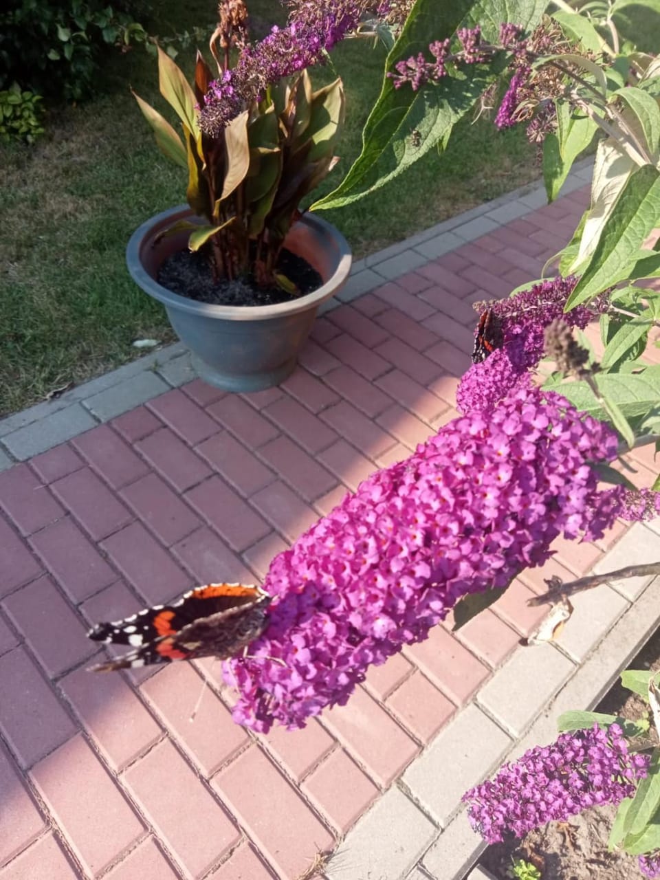 Spring, Day, Garden, Garden view