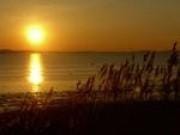 Natural landscape, Area and facilities