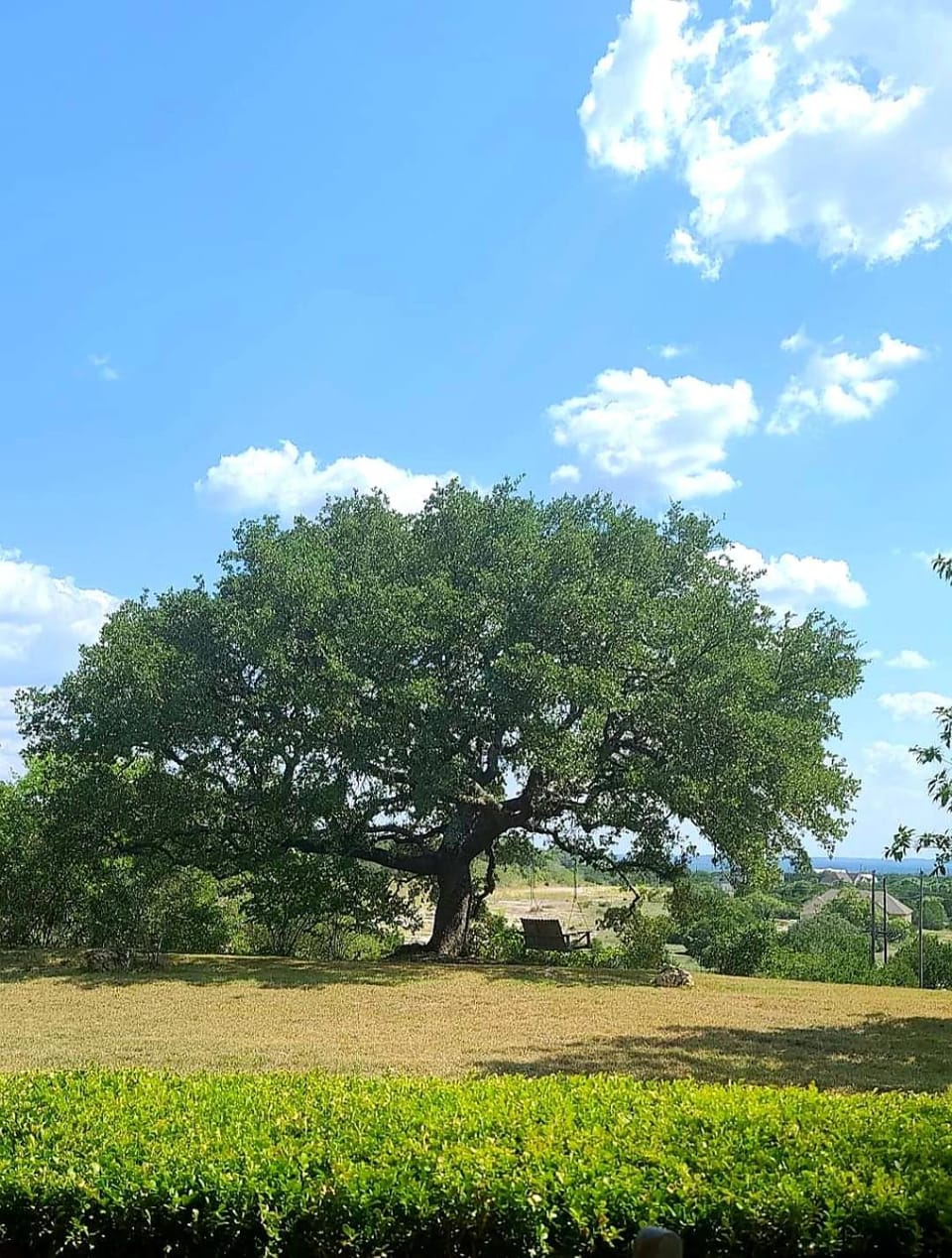 Activities, View (from property/room), Decorative detail, Text overlay
