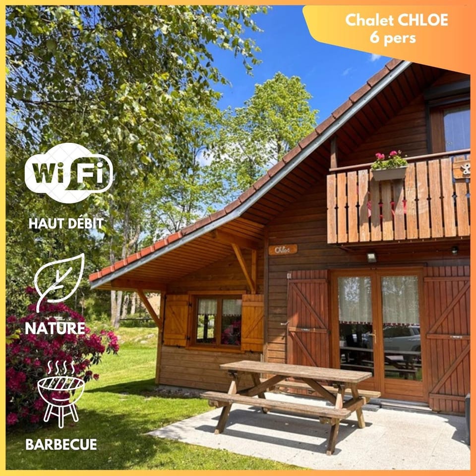 Chalet CHLOE - wifi, BBQ, parking Chalet in Xonrupt-Longemer