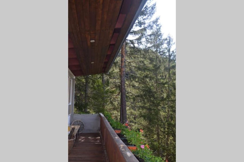 Viteitaliane - Chalet nel bosco Chalet in Trentino-South Tyrol