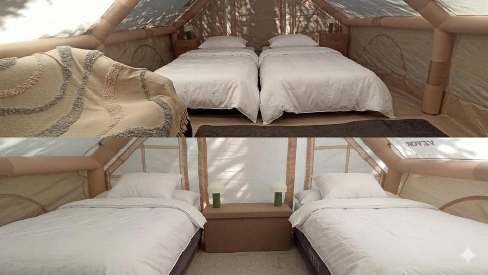 Bed, Photo of the whole room