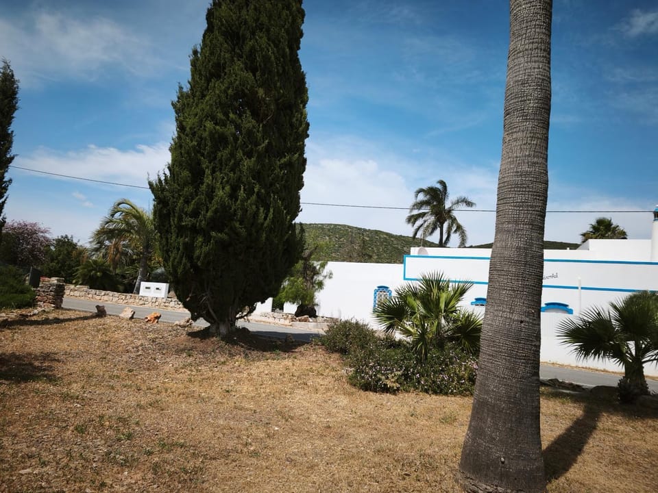 Garden, Garden view