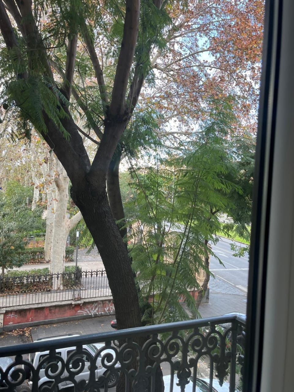 View (from property/room)