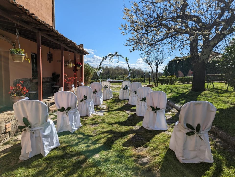 Spring, Garden, Garden view