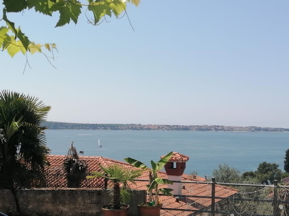 Sea view