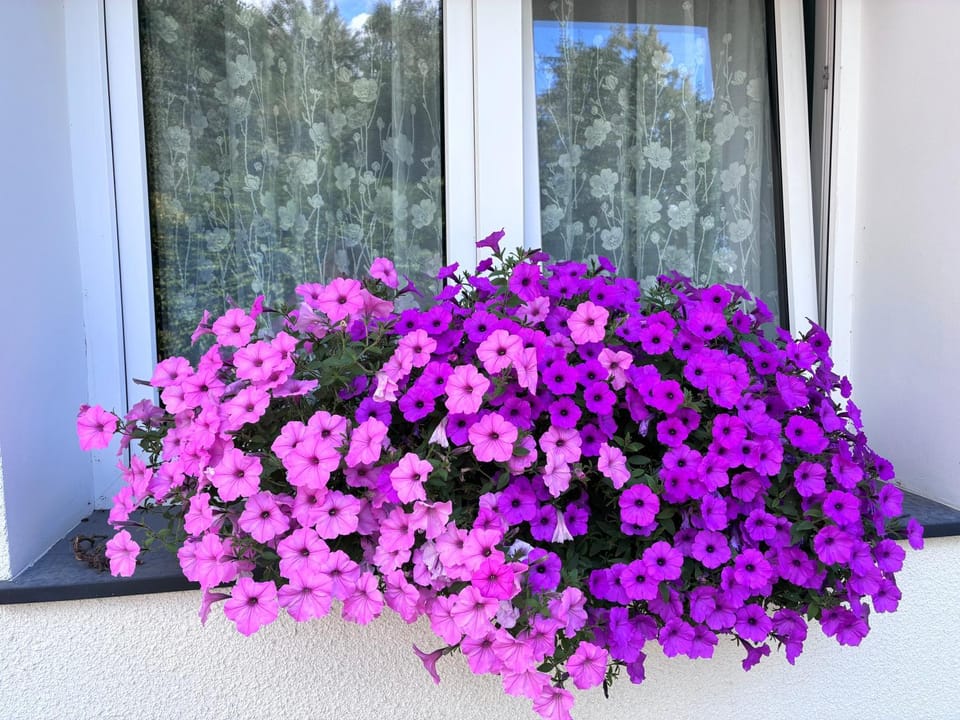 Letnia Oaza "Akacja" Apartment in Masovian Voivodeship
