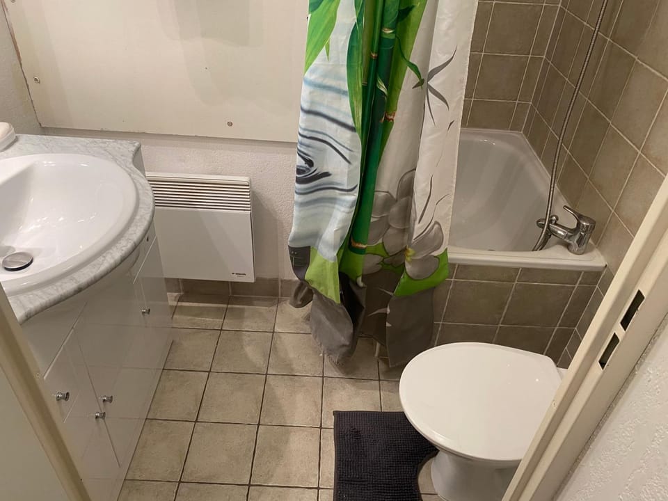 Studio les toits du Devoluy Apartment in Provence-Alpes-Côte d'Azur