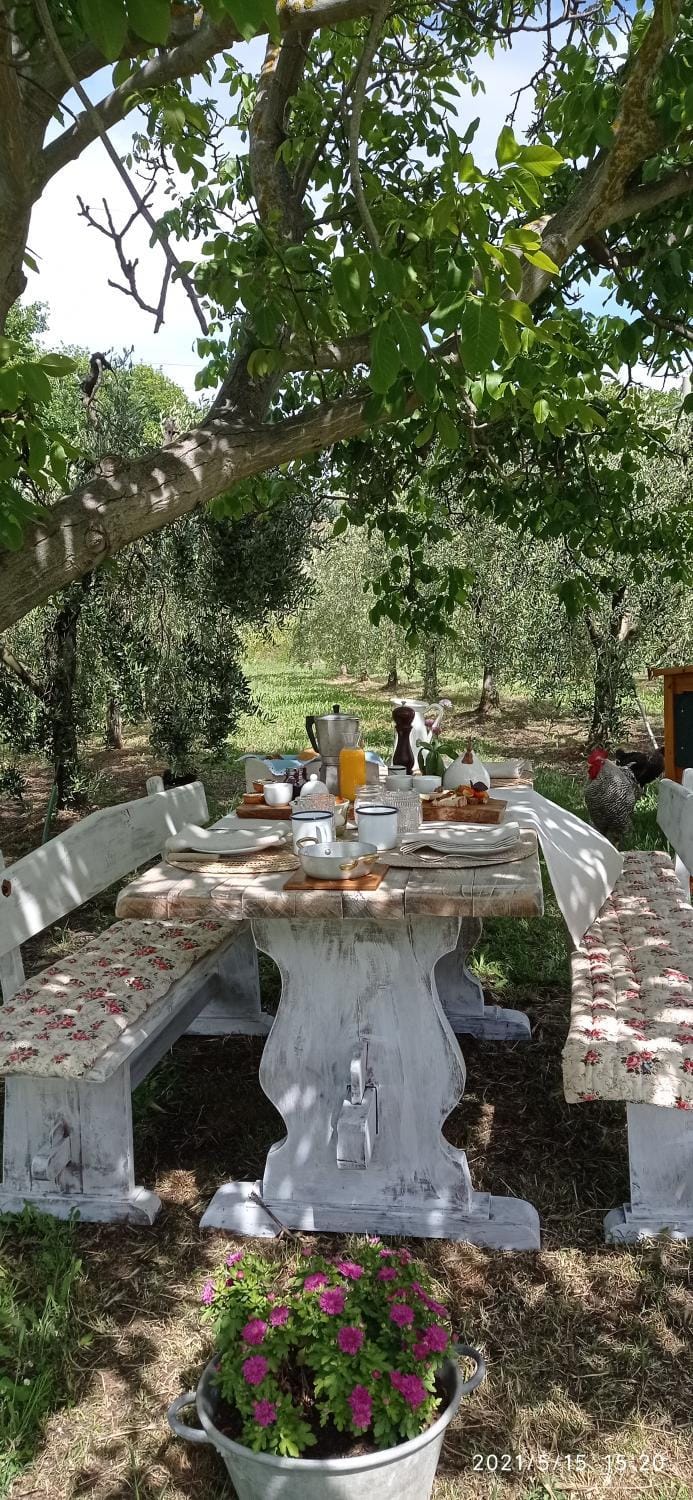 OlioeAlloro B&B Bed and Breakfast in San Vincenzo