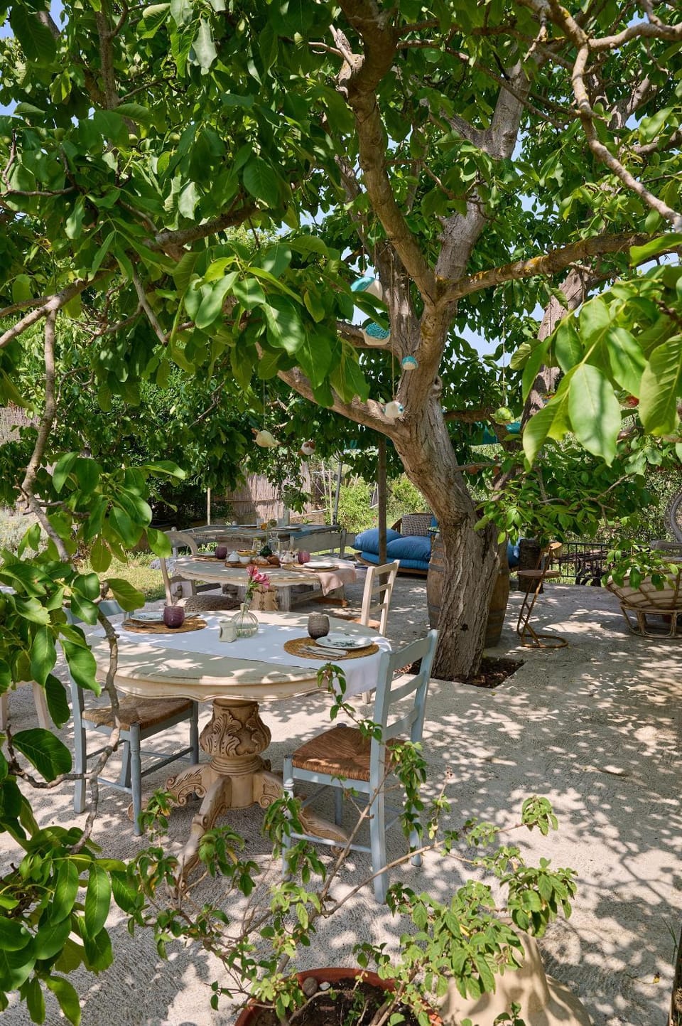 OlioeAlloro B&B Bed and Breakfast in San Vincenzo