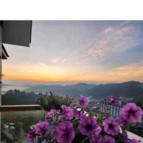 Kensington Sunrise at Sg Palas,PalasHorizon Apartment in Brinchang