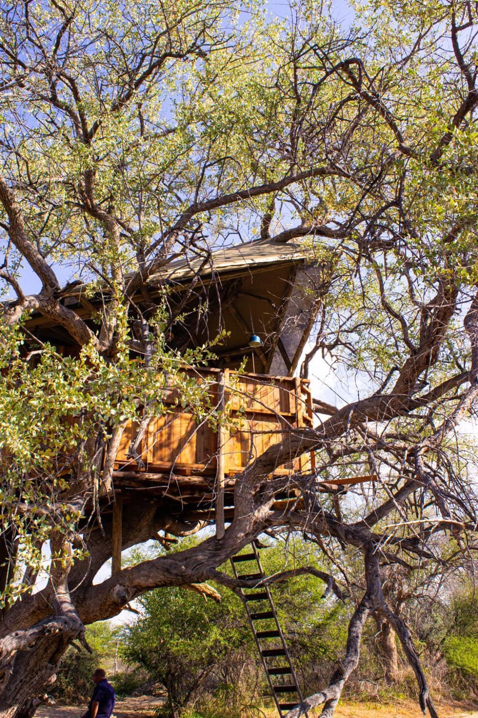 Property building, Natural landscape