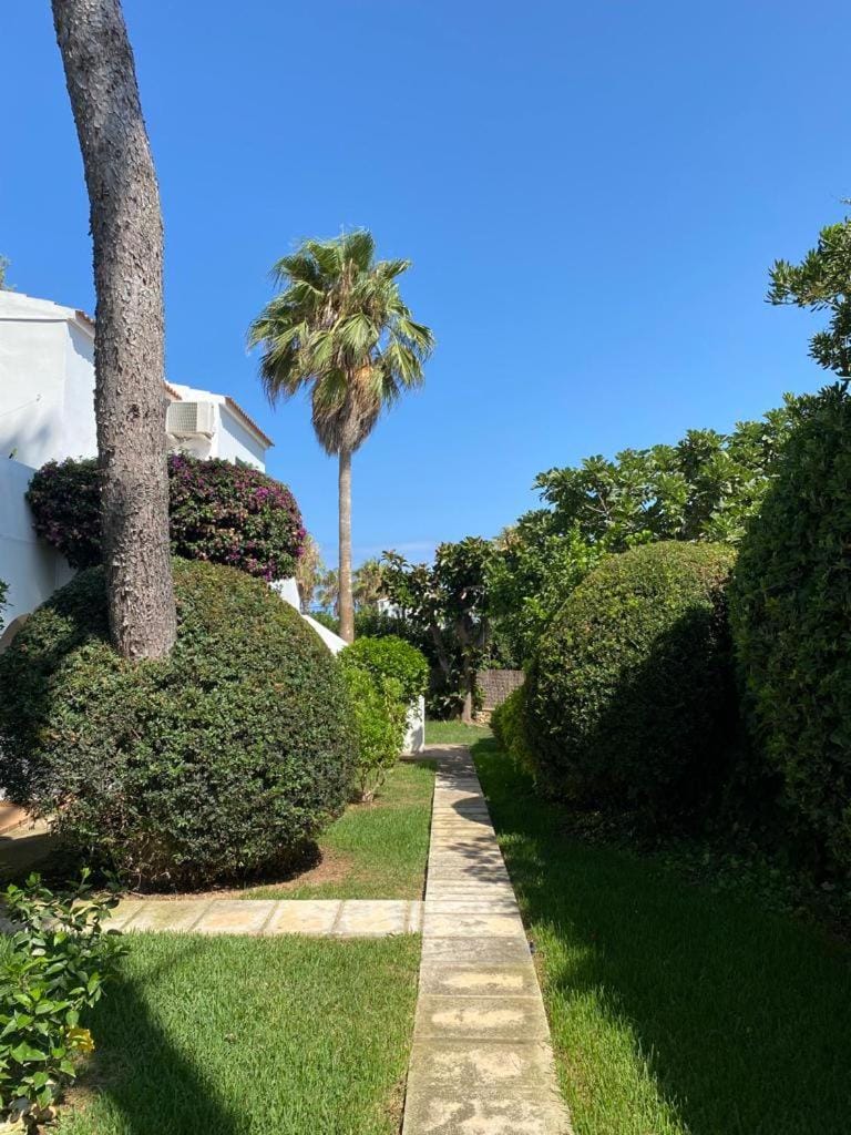 Garden view