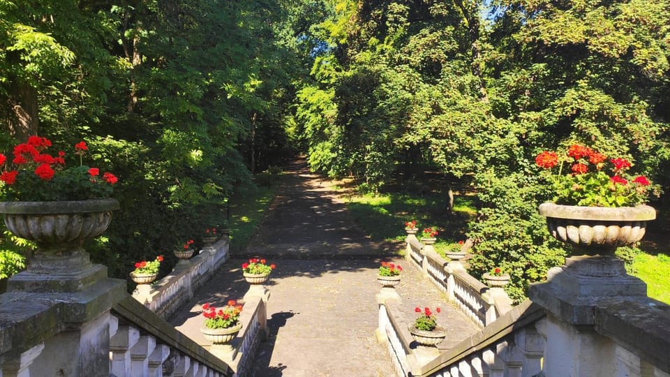 Property building, Garden view