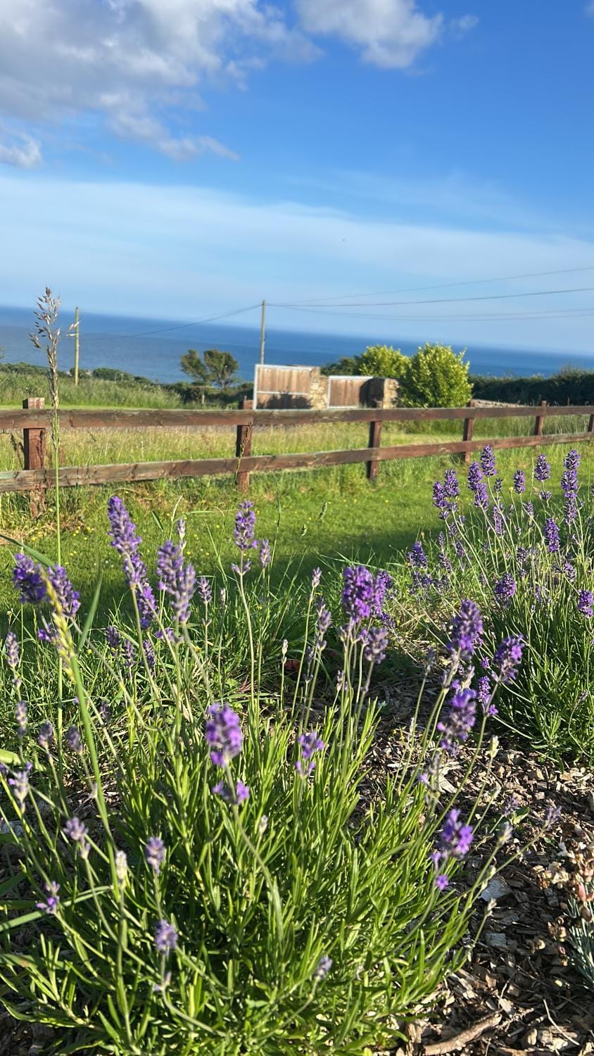 Follies Suites Ballyvoile Vacation rental in County Waterford