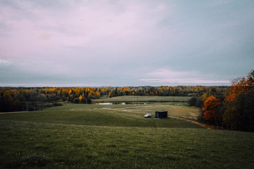 Neighbourhood, Natural landscape, Garden