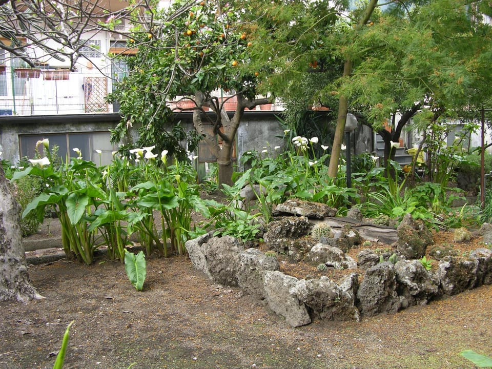 Property building, Garden view