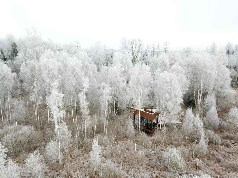 Day, Natural landscape, Winter