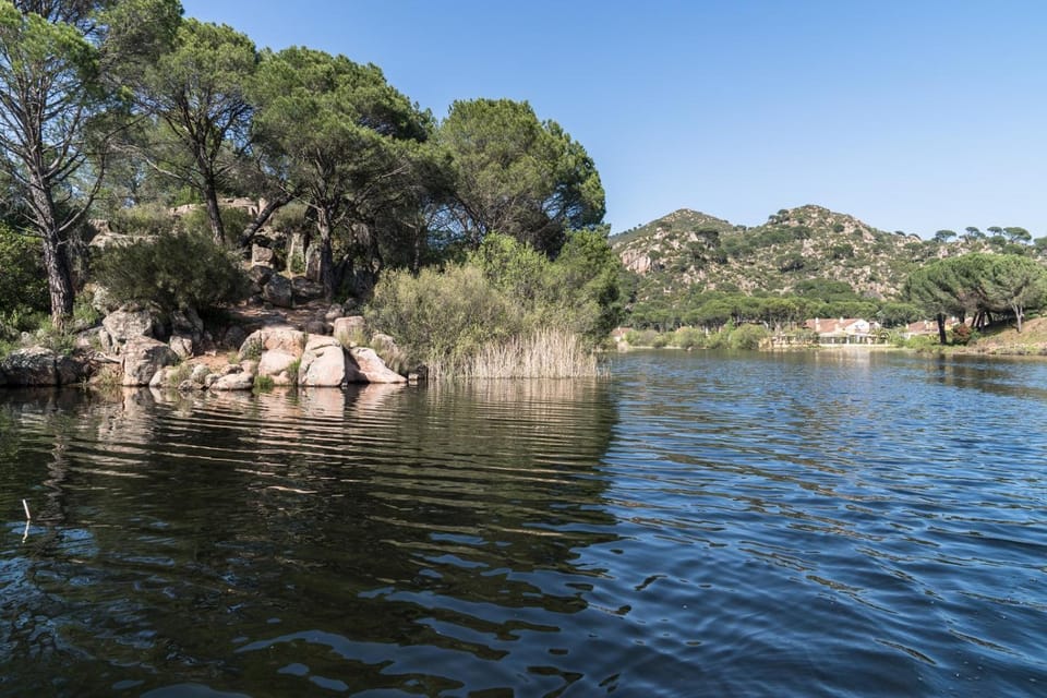 Lake view