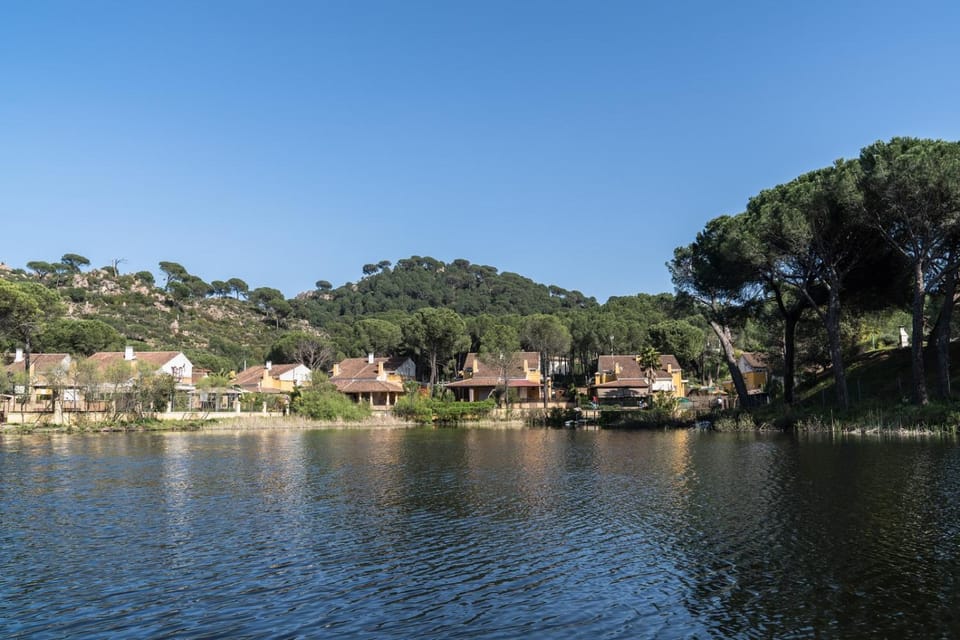 Lake view