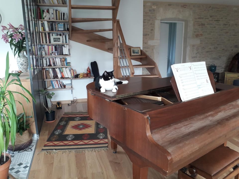 "La Charme" Bed and Breakfast in Bourgogne-Franche-Comté