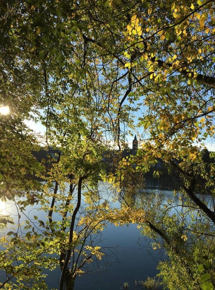 Hotel Restaurant Bürgerstube Hotel in Cochem-Zell