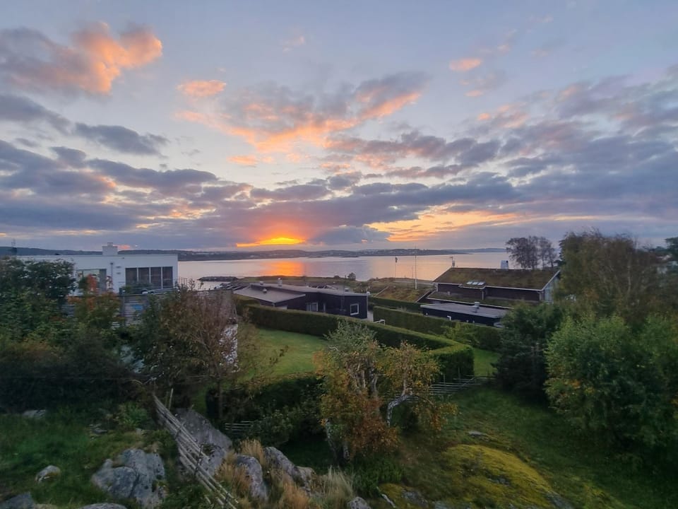 Lake view
