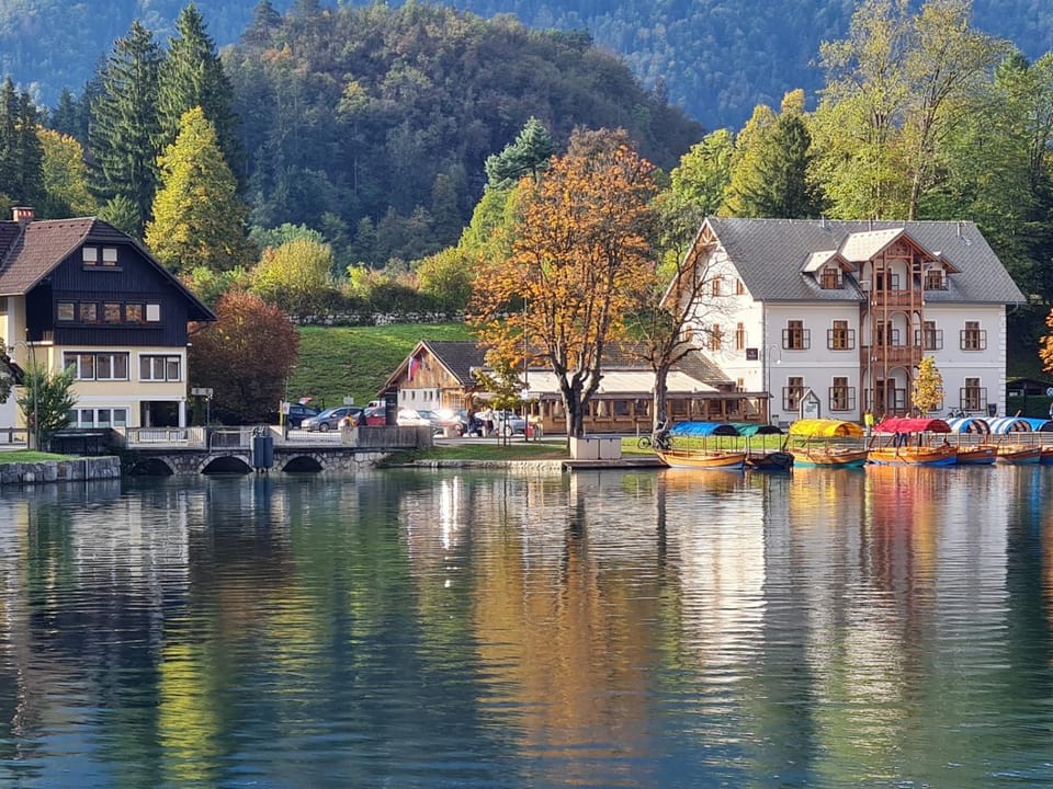 Lake view