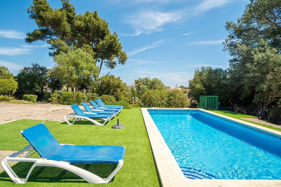 Garden, Swimming pool, sunbed