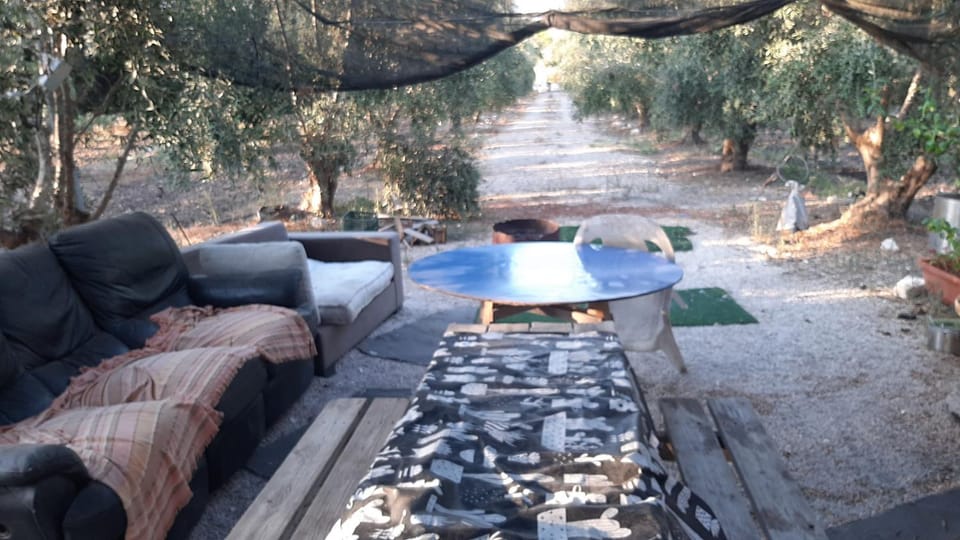 אוהל הזית Luxury tent in Haifa District