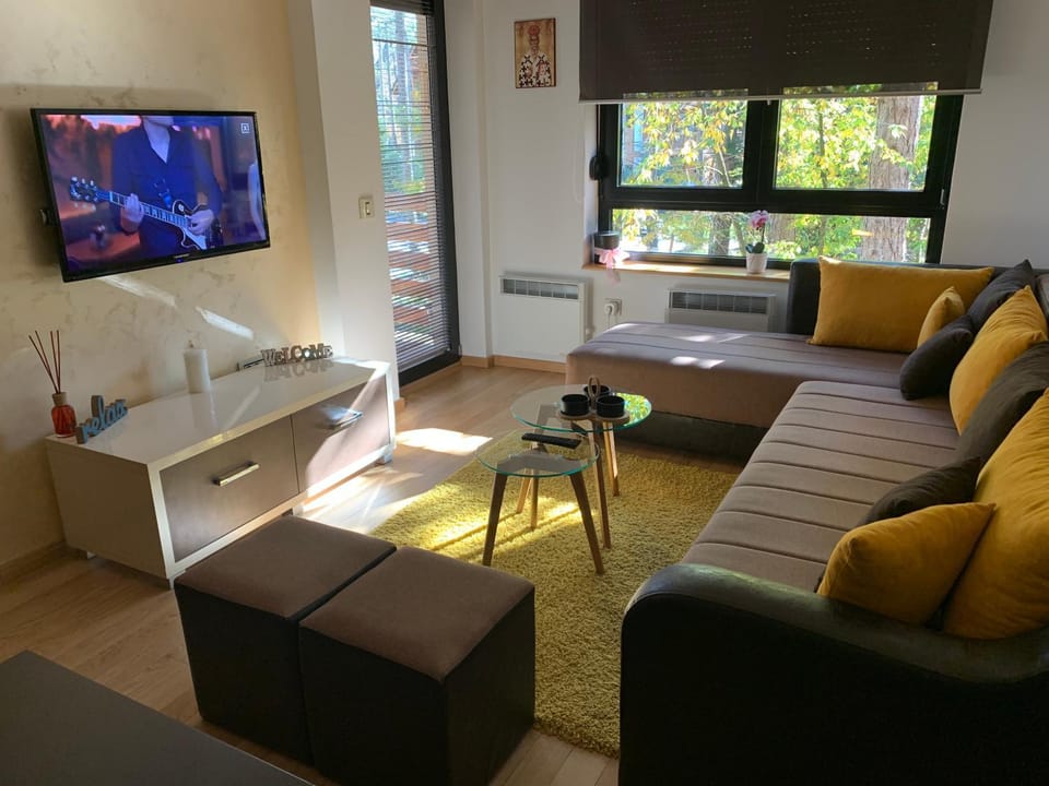 Communal lounge/ TV room