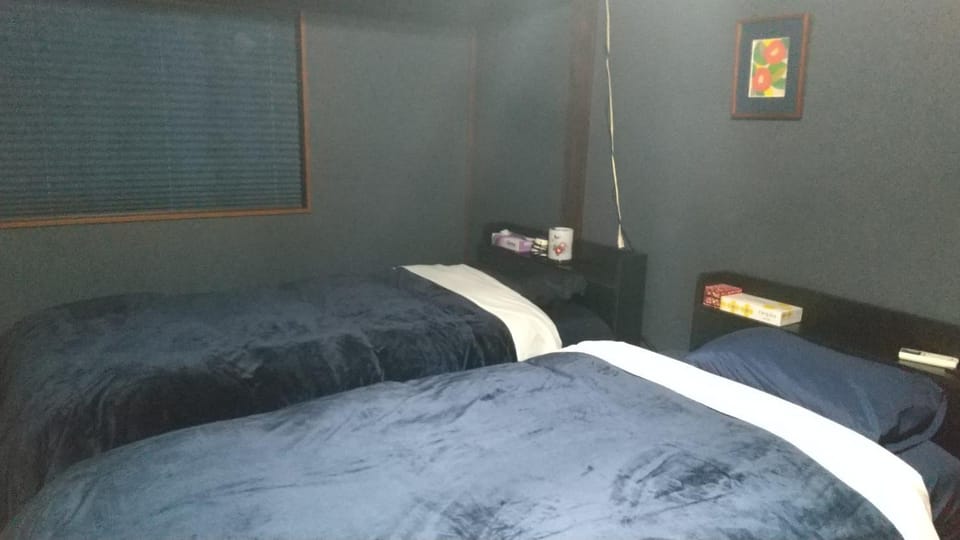 築100年の宿【はぶの家】 Bed and Breakfast in Tokyo Prefecture