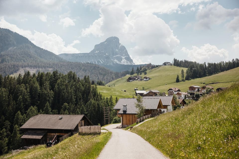Summer, Garden view, Mountain view