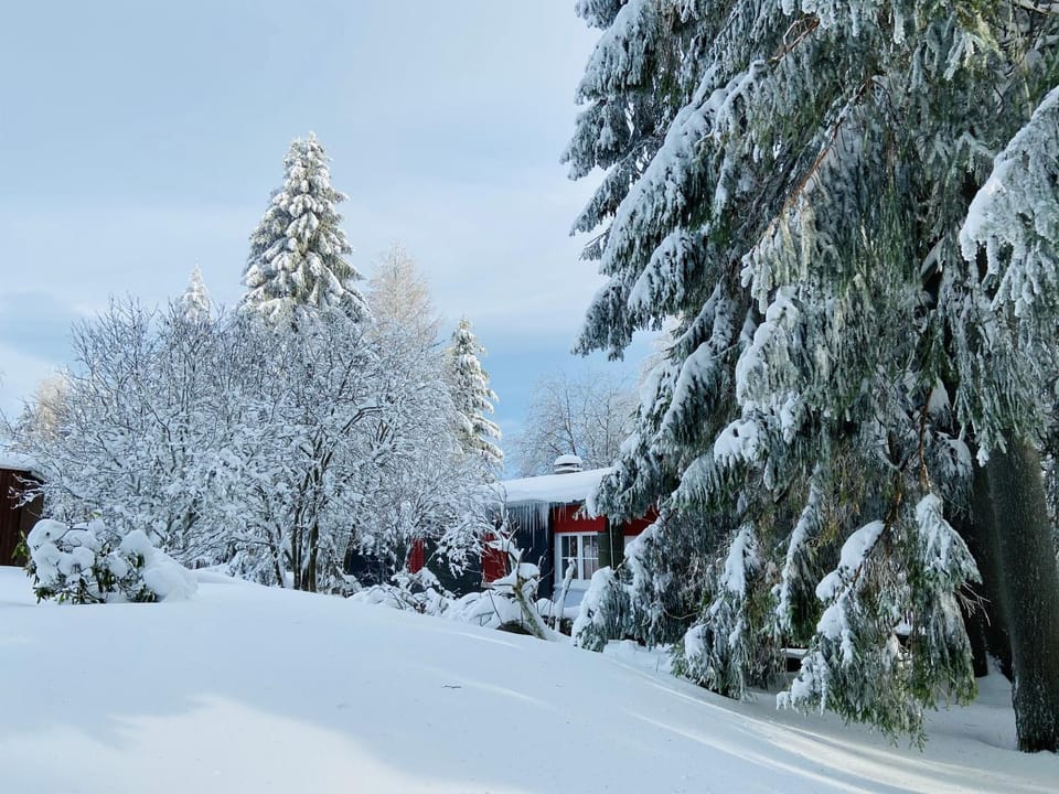 Property building, Winter