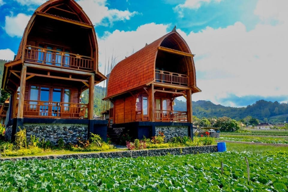 Property building, Garden view, Mountain view