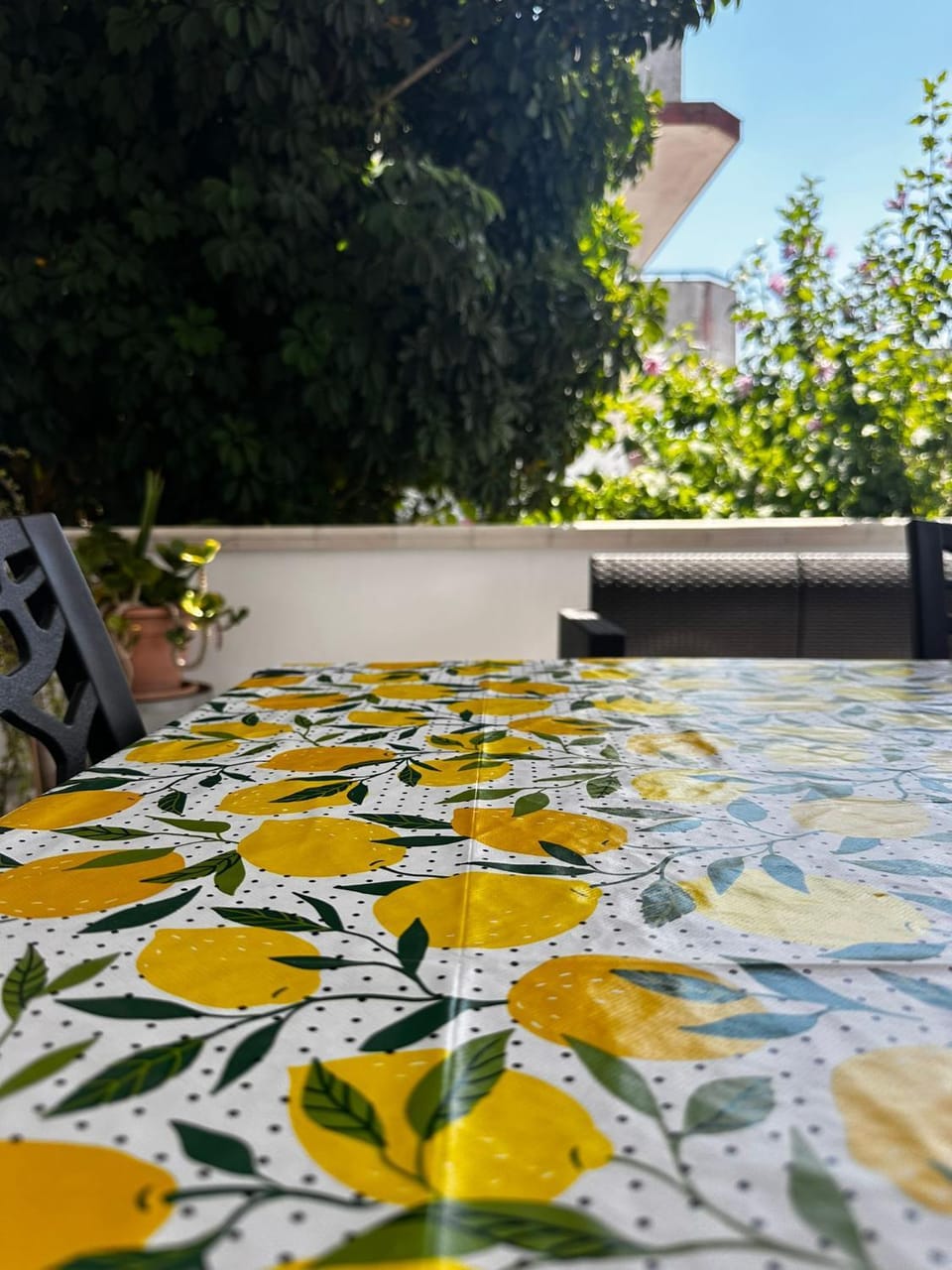 Patio, Dining area