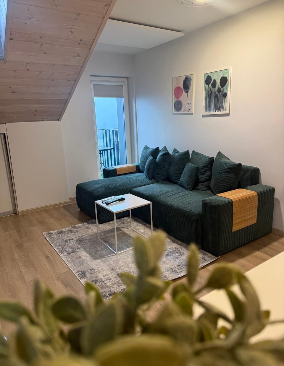 Apartamentai su terasa Apartment in Palanga