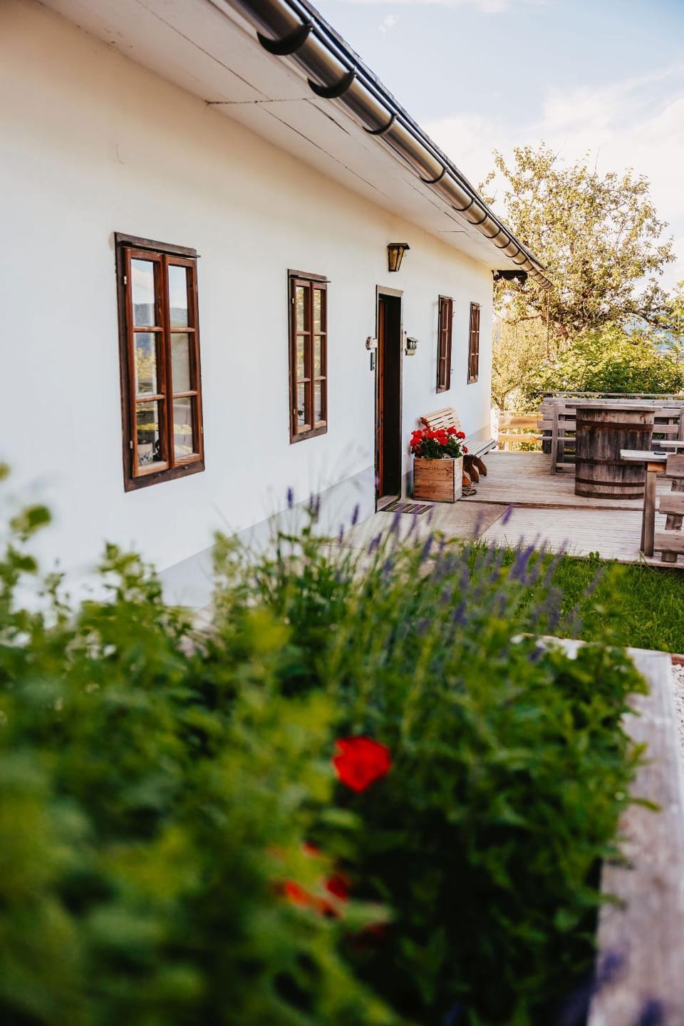 Property building, Summer, Garden, Garden, Balcony/Terrace
