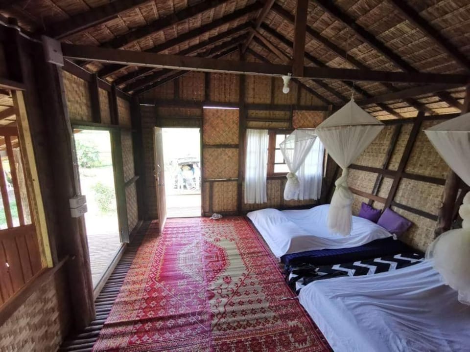 Wanmai Farm Stay Muangkong วันใหม่ฟาร์มสเตย์ เมืองคอง เชียงดาว Farm Stay in Thailand