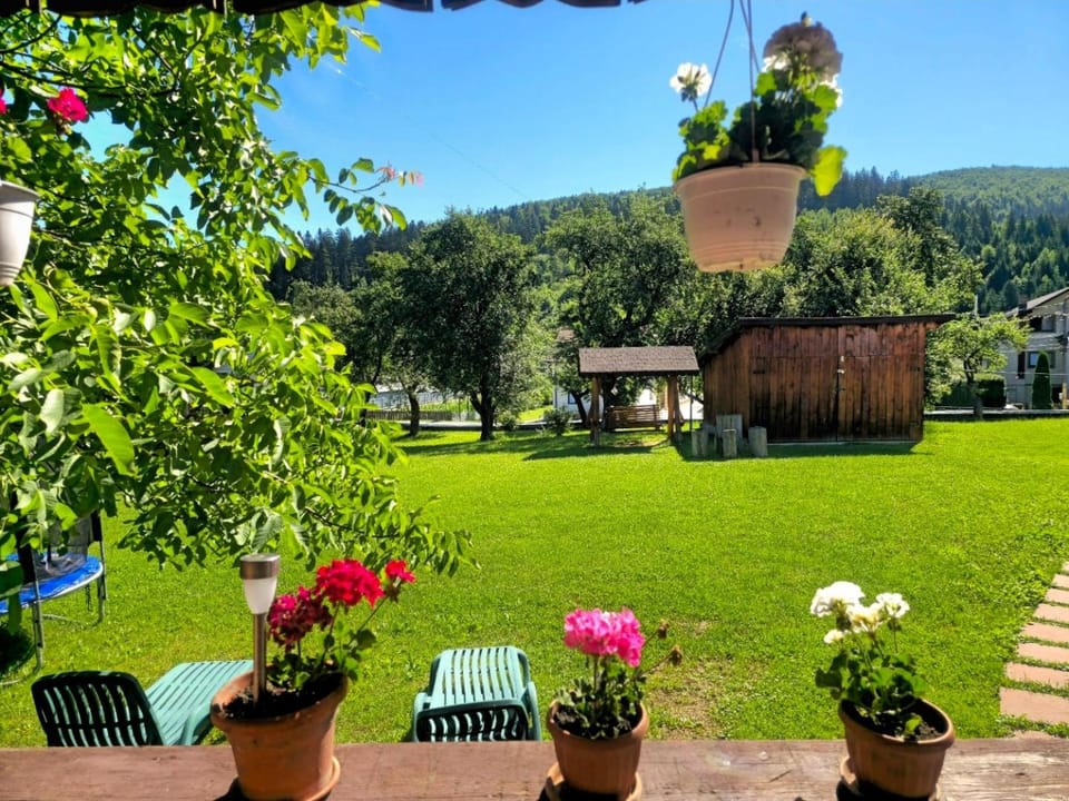 PENSIUNEA BOCA VORONET Bed and Breakfast in Romania