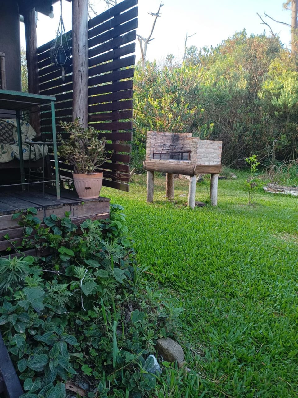 Spring, Day, Garden, Garden view