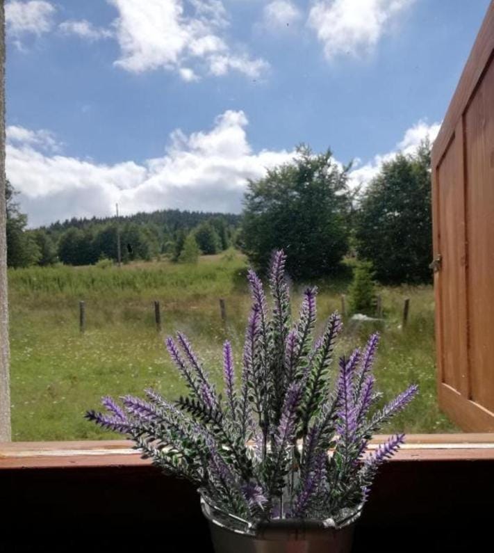 Golija Vikend kuća Milenković Apartment in Serbia