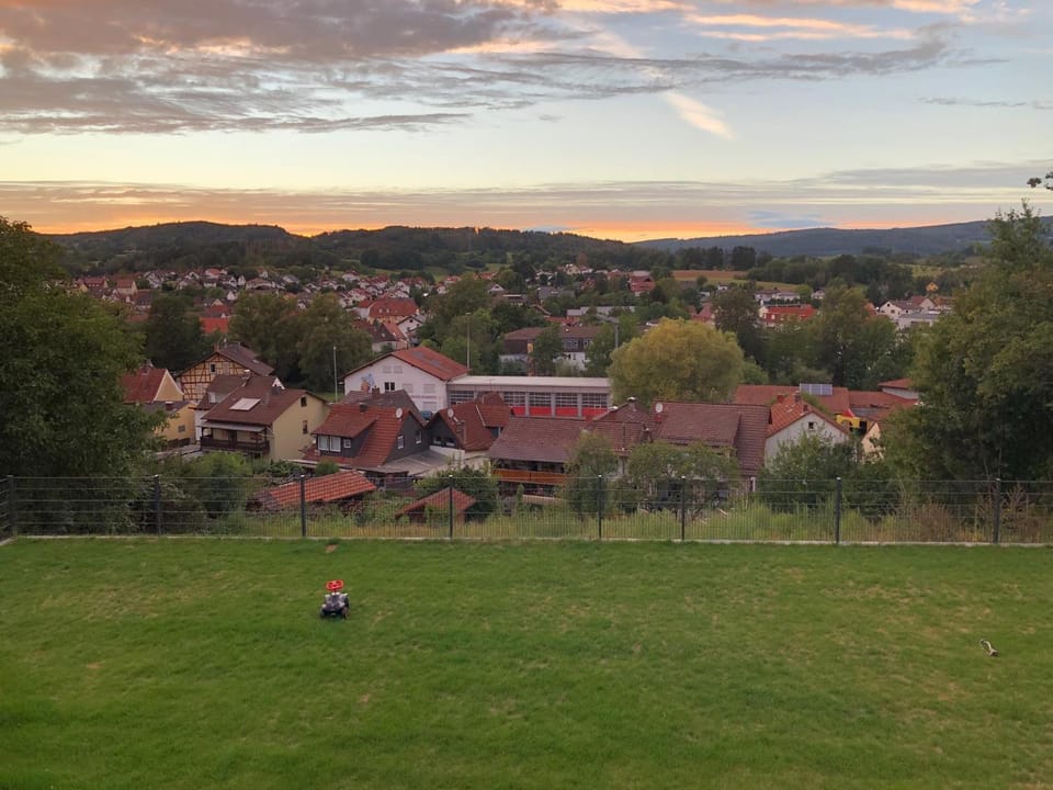 Garden view
