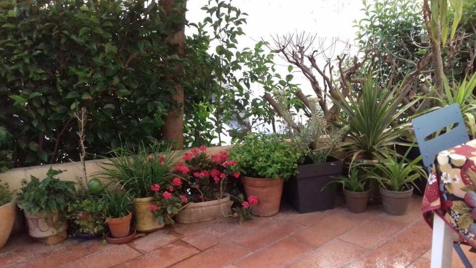 Les Trois Rois Vacation rental in Nimes