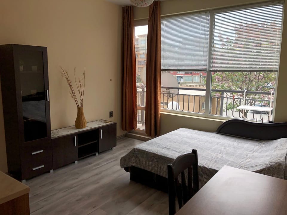 Communal lounge/ TV room, Bed, Living room, Photo of the whole room, Bedroom