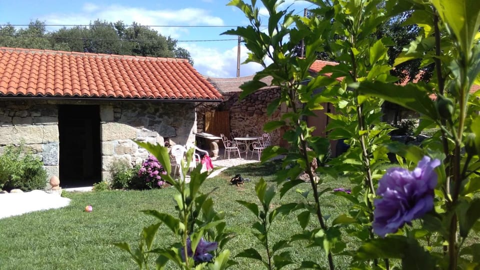 Garden, Garden view