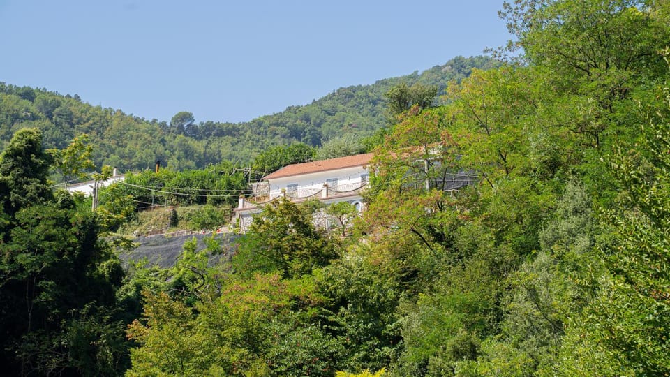 Natural landscape